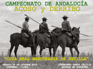 Campeonato de Andalucia de Acoso y derribo