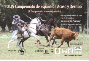 XLIV Campeonato de España de Acoso y Derribo