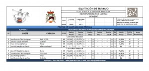 Resultados Manejabilidad T CET Memorial Miguel Angel Cardenas